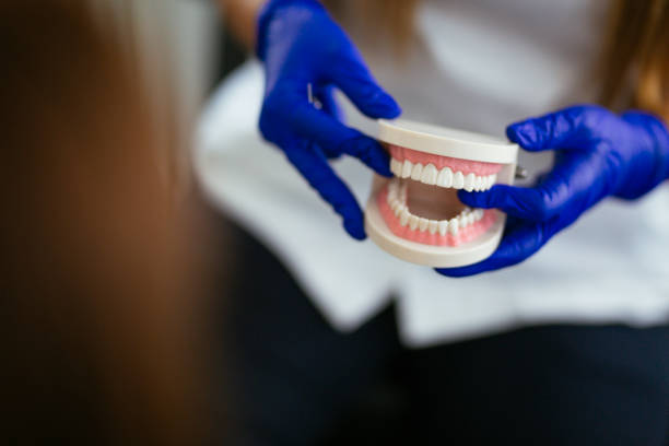 Best Dental Exams and Cleanings  in Charlestown, MD